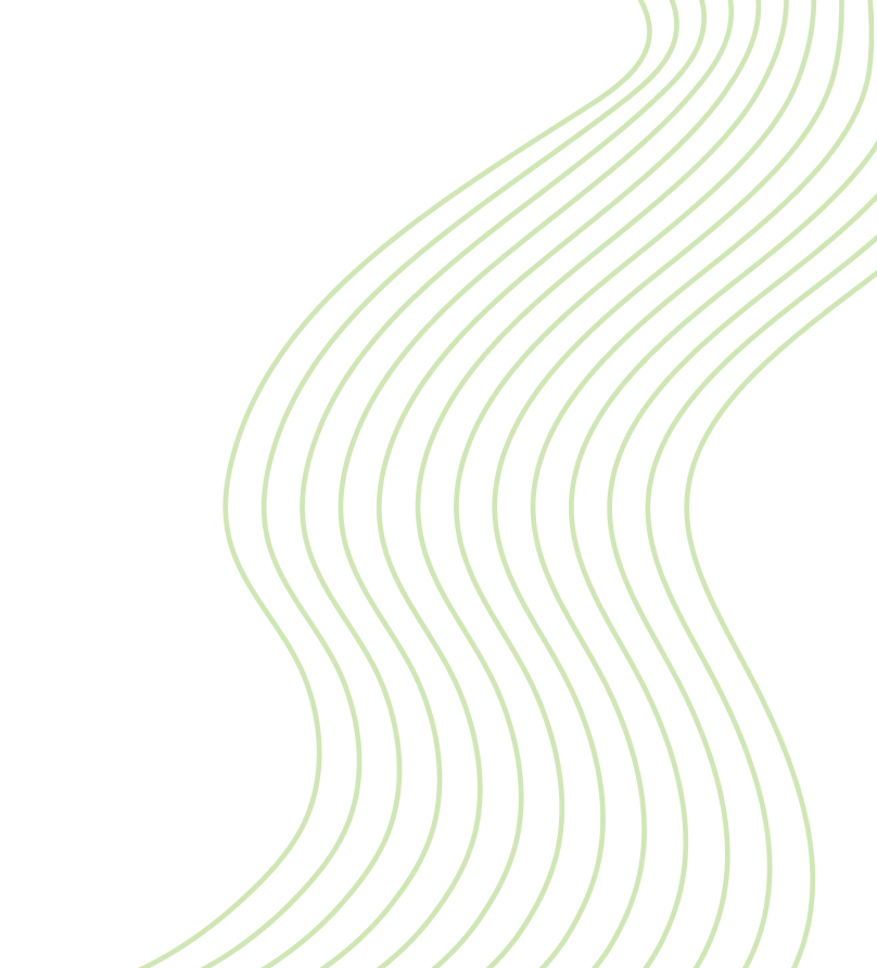custom-meal-bg-image.webp