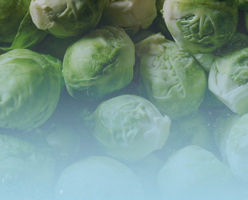 High Protein Brussels Sprouts