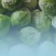 High Protein Brussels Sprouts