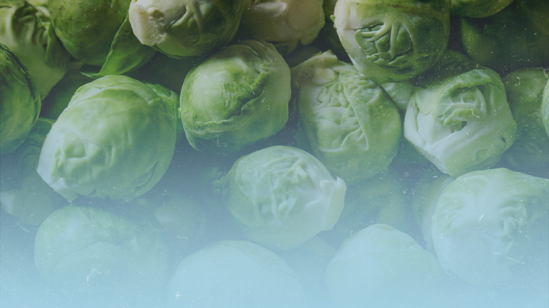 Winter Fit Food Spotlight: Brussels Sprouts