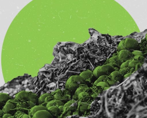 5 Ways to Reduce Food Waste