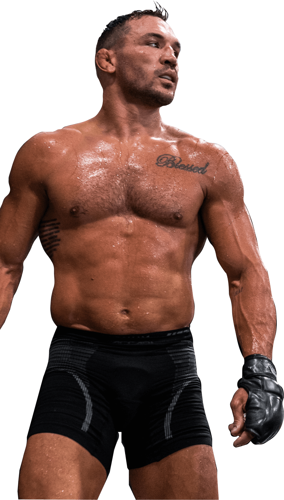 MegaFit Athlete - Mike Chandler-background