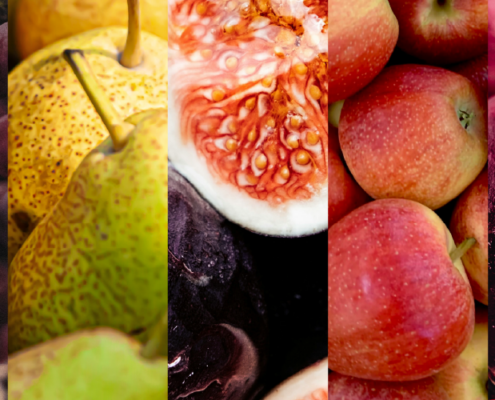 What's in Season? Fall Produce Guide