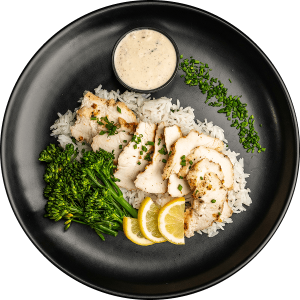 The Go-To Meal balanced nutrition meal by MegaFit Meals