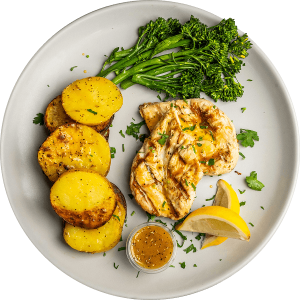 The Spartan fitness meal delivery by MegaFit Meals