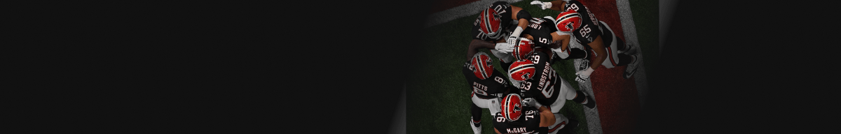 MegaFit Meals & Atlanta Falcons Banner